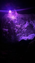 おきなわワールドに投稿された画像（2026/2/17）