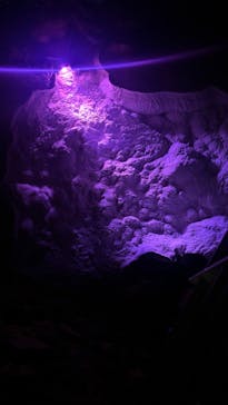 おきなわワールドに投稿された画像（2026/2/17）