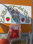 とよさんファームいちご園に投稿された画像（2026/2/18）