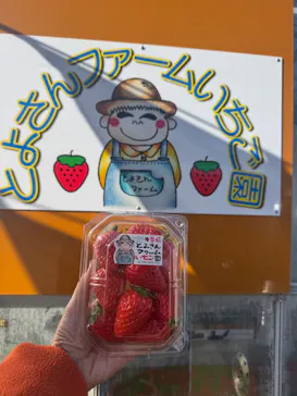 とよさんファームいちご園に投稿された画像（2026/2/17）