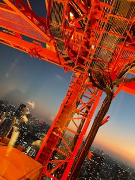 東京タワーに投稿された画像（2026/2/17）