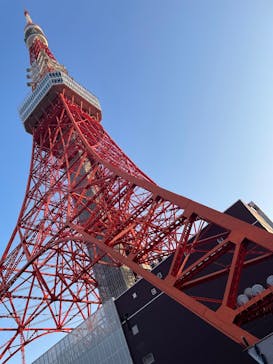 東京タワーに投稿された画像（2026/2/17）