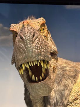 ミュージアムパーク茨城県自然博物館に投稿された画像（2026/2/17）