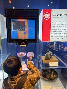 ミュージアムパーク茨城県自然博物館に投稿された画像（2026/2/17）