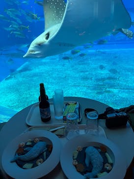 沖縄美ら海水族館に投稿された画像（2026/2/17）