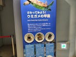 名古屋港水族館に投稿された画像（2026/2/18）
