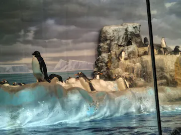 名古屋港水族館に投稿された画像（2026/2/17）