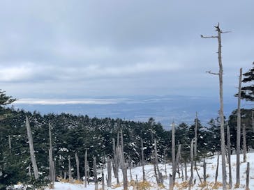 ピラタス蓼科スノーリゾートに投稿された画像（2026/2/17）