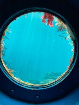 串本海中公園水族館に投稿された画像（2026/2/17）