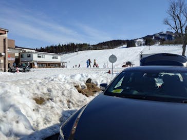 スキージャム勝山に投稿された画像（2026/2/17）