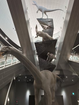 福井県立恐竜博物館に投稿された画像（2026/2/18）