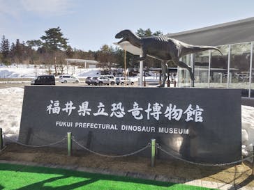 福井県立恐竜博物館に投稿された画像（2026/2/18）