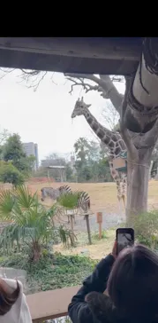 天王寺動物園に投稿された画像（2026/2/18）