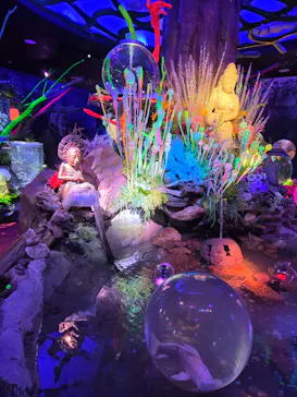 ひらかたパークに投稿された画像（2026/2/18）