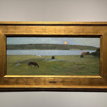 スウェーデン絵画展 北欧の光、日常のかがやき(東京都美術館)に投稿された画像（2026/2/18）