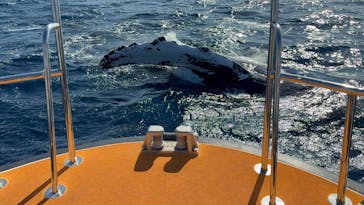 沖縄アイランドクルーに投稿された画像（2026/2/18）