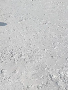 蔵王ロープウェイに投稿された画像（2026/2/18）