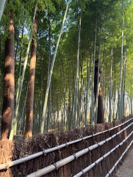 偕楽園本園に投稿された画像（2026/2/18）