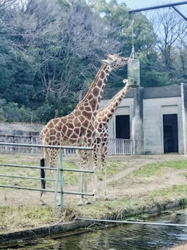 名古屋市東山動植物園に投稿された画像（2026/2/18）