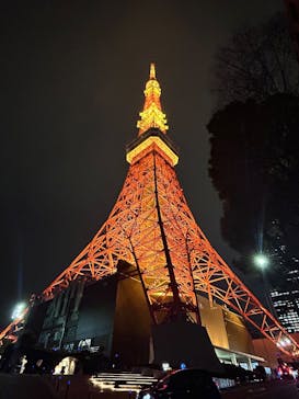 東京タワーに投稿された画像（2026/2/18）