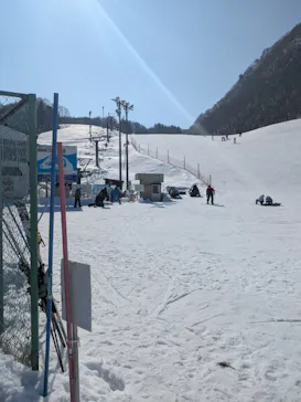 鉛温泉　藤三旅館に投稿された画像（2026/2/18）