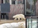 恩賜上野動物園に投稿された画像（2026/2/18）