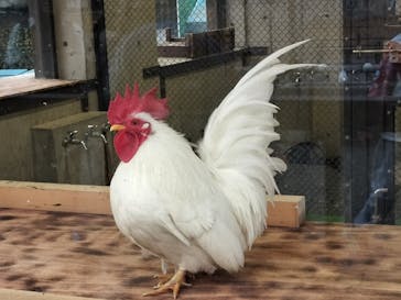 恩賜上野動物園に投稿された画像（2026/2/18）