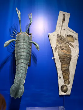 特別展「大絶滅展―生命史のビッグファイブ」に投稿された画像（2026/2/18）