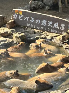 伊豆シャボテン動物公園に投稿された画像（2026/2/18）