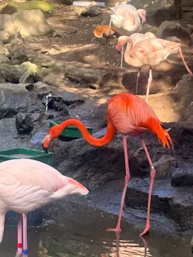 伊豆シャボテン動物公園に投稿された画像（2026/2/18）