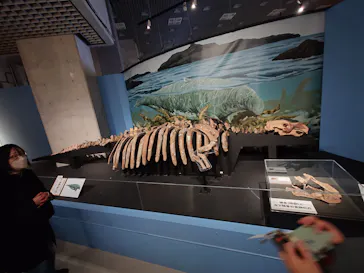 特別展「大絶滅展―生命史のビッグファイブ」に投稿された画像（2026/2/18）
