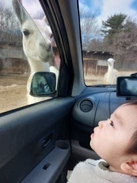 東北サファリパークに投稿された画像（2026/2/18）