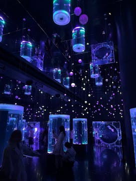 マクセル アクアパーク品川に投稿された画像（2026/2/18）