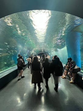 マクセル アクアパーク品川に投稿された画像（2026/2/18）