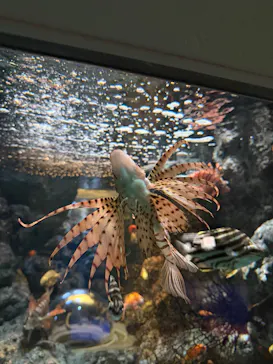 名古屋港水族館に投稿された画像（2026/2/18）