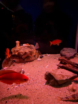 名古屋港水族館に投稿された画像（2026/2/18）