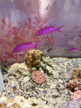 名古屋港水族館に投稿された画像（2026/2/18）