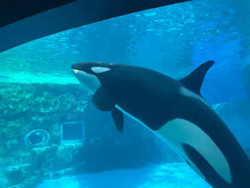 名古屋港水族館に投稿された画像（2026/2/18）