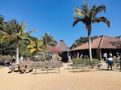 琉球村に投稿された画像（2026/2/18）