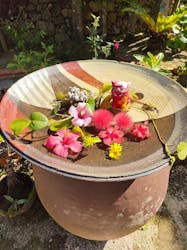 琉球村に投稿された画像（2026/2/18）