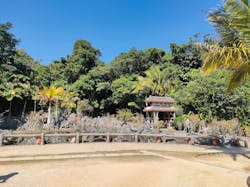 琉球村に投稿された画像（2026/2/18）