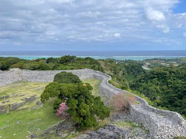 今帰仁城跡に投稿された画像（2026/2/18）