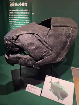 特別展「大絶滅展―生命史のビッグファイブ」に投稿された画像（2026/2/18）