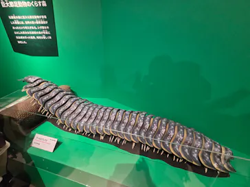 特別展「大絶滅展―生命史のビッグファイブ」に投稿された画像（2026/2/18）