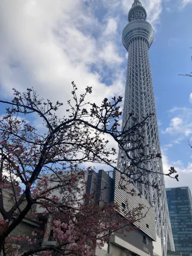 東京スカイツリーに投稿された画像（2026/2/18）