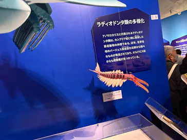 特別展「大絶滅展―生命史のビッグファイブ」に投稿された画像（2026/2/18）