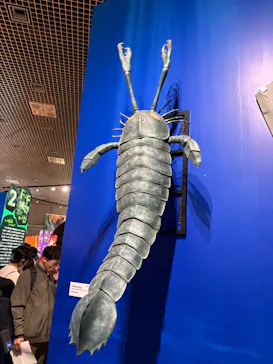 特別展「大絶滅展―生命史のビッグファイブ」に投稿された画像（2026/2/18）