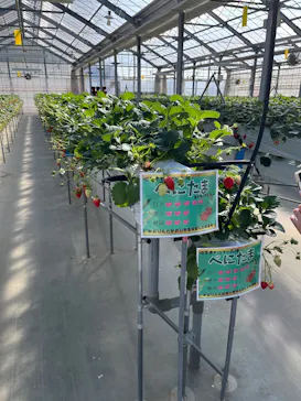 東松山市農林公園に投稿された画像（2026/2/18）