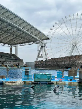 名古屋港水族館に投稿された画像（2026/2/18）