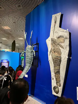 特別展「大絶滅展―生命史のビッグファイブ」に投稿された画像（2026/2/18）
